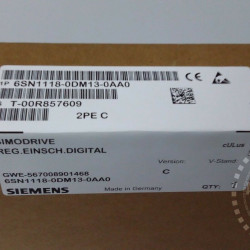 6SN1118-0DM13-0AA0